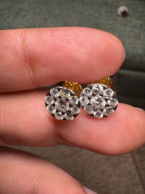 Augue Neque Earrings