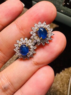 Faucibus Interdum Earrings